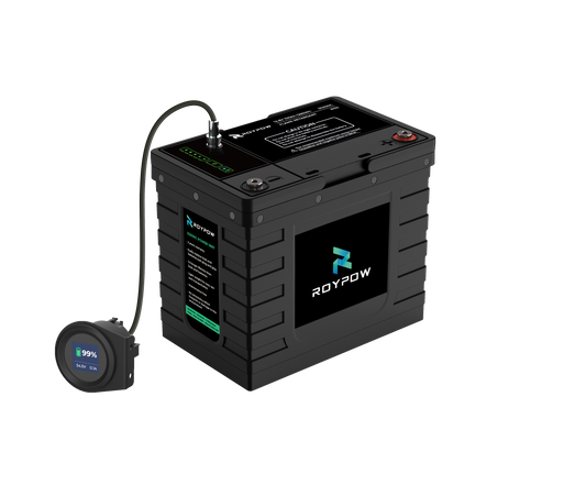 RoyPow IP65 S-Serie Batterie 12V 100Ah, LiFePO4