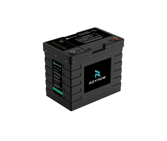 RoyPow IP65 S-Serie Batterie 12V 50Ah, LiFePO4